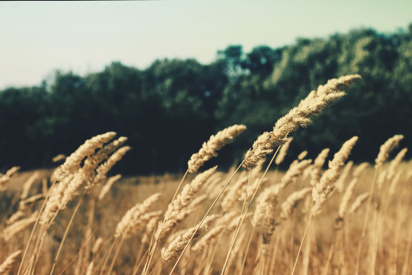 CC在线压力测试